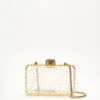 Accessories Pellucid Beige Clutch