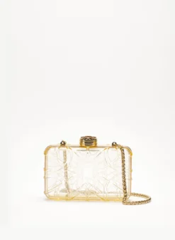 Accessories Pellucid Beige Clutch