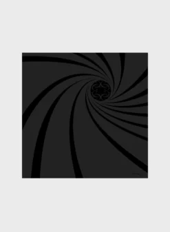 Accessories SILK JACQUARD SHAWL