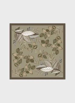 Accessories Cashmere And Silk Shawl