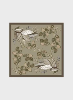 Accessories Cashmere And Silk Shawl