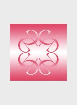 Accessories SILK SHAWL