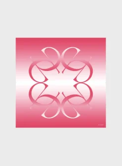 Accessories SILK SHAWL